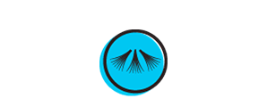 Volume Lash Icon 5